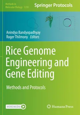 Thilmony / Bandyopadhyay |  Rice Genome Engineering and Gene Editing | Buch |  Sack Fachmedien