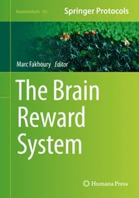 Fakhoury |  The Brain Reward System | eBook | Sack Fachmedien