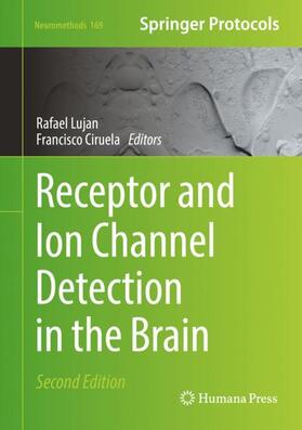 Ciruela / Lujan |  Receptor and Ion Channel Detection in the Brain | Buch |  Sack Fachmedien