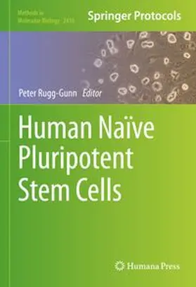 Rugg-Gunn |  Human Naïve Pluripotent Stem Cells | eBook | Sack Fachmedien