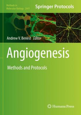 Benest |  Angiogenesis | Buch |  Sack Fachmedien