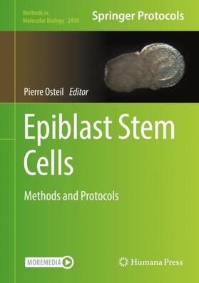 Osteil | Epiblast Stem Cells | Buch | 978-1-07-162280-3 | sack.de
