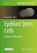 Osteil |  Epiblast Stem Cells | Buch |  Sack Fachmedien