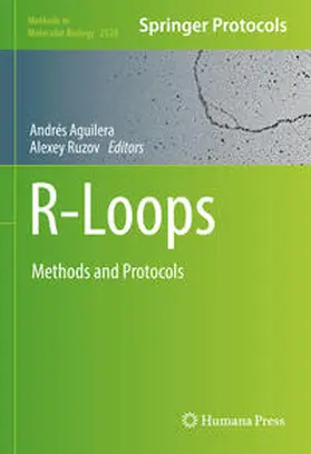 Ruzov / Aguilera | R-Loops | Buch | 978-1-0716-2476-0 | sack.de