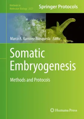 Ramírez-Mosqueda |  Somatic Embryogenesis | Buch |  Sack Fachmedien