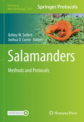 Seifert / Currie |  Salamanders | eBook | Sack Fachmedien