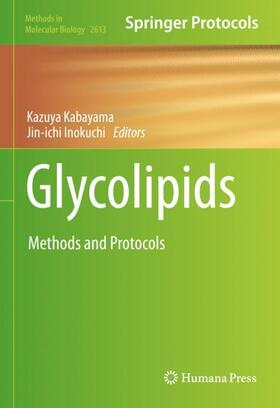 Inokuchi / Kabayama | Glycolipids | Buch | 978-1-07-162909-3 | sack.de