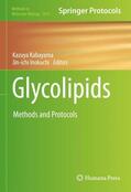 Inokuchi / Kabayama |  Glycolipids | Buch |  Sack Fachmedien