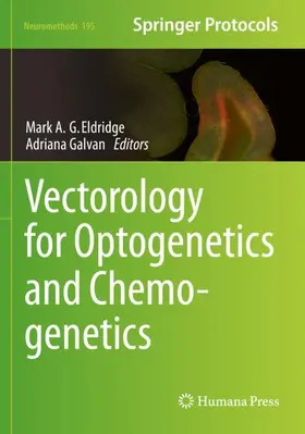Galvan / Eldridge |  Vectorology for Optogenetics and Chemogenetics | Buch |  Sack Fachmedien