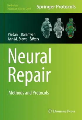 Stowe / Karamyan |  Neural Repair | Buch |  Sack Fachmedien