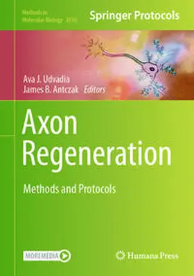 Udvadia / Antczak |  Axon Regeneration | eBook | Sack Fachmedien