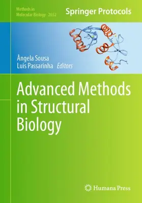 Passarinha / Sousa |  Advanced Methods in Structural Biology | Buch |  Sack Fachmedien
