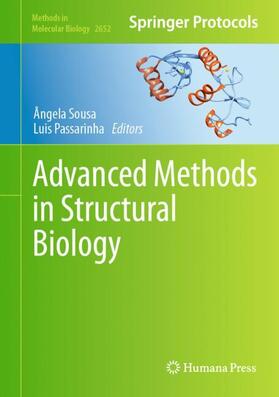 Passarinha / Sousa | Advanced Methods in Structural Biology | Buch | 978-1-07-163146-1 | sack.de