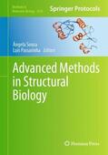 Passarinha / Sousa |  Advanced Methods in Structural Biology | Buch |  Sack Fachmedien