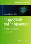 Botelho |  Phagocytosis and Phagosomes | Buch |  Sack Fachmedien