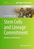 Turksen |  Stem Cells and Lineage Commitment | Buch |  Sack Fachmedien