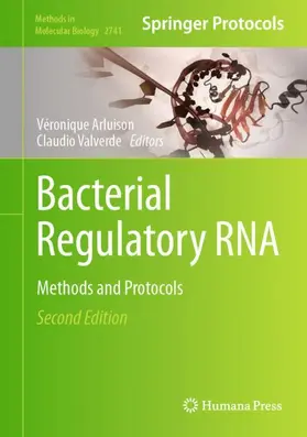Arluison / Valverde |  Bacterial Regulatory RNA | Buch |  Sack Fachmedien