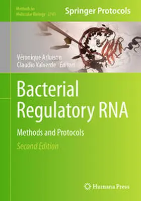 Arluison / Valverde |  Bacterial Regulatory RNA | eBook | Sack Fachmedien