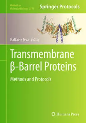 Ieva |  Transmembrane ß-Barrel Proteins | eBook | Sack Fachmedien
