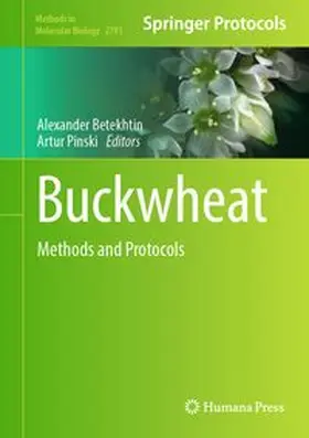 Betekhtin / Pinski |  Buckwheat | eBook | Sack Fachmedien