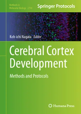 Nagata | Cerebral Cortex Development | E-Book | www.sack.de