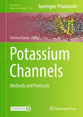 Furini |  Potassium Channels | eBook | Sack Fachmedien
