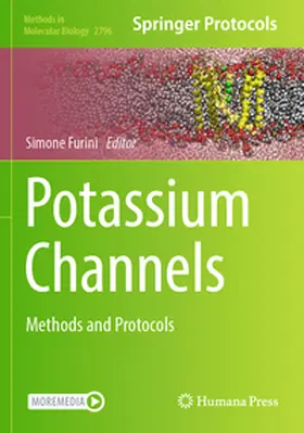 Furini |  Potassium Channels | Buch |  Sack Fachmedien