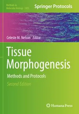 Nelson |  Tissue Morphogenesis | Buch |  Sack Fachmedien