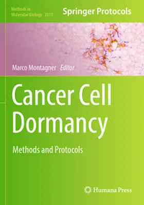 Montagner | Cancer Cell Dormancy | Buch | 978-1-0716-3884-2 | www.sack.de