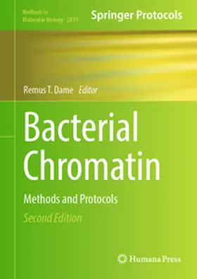 Dame |  Bacterial Chromatin | eBook | Sack Fachmedien