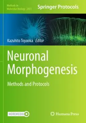 Toyooka |  Neuronal Morphogenesis | Buch |  Sack Fachmedien