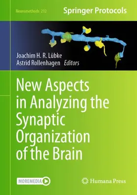 Lübke / Rollenhagen |  New Aspects in Analyzing the Synaptic Organization of the Brain | Buch |  Sack Fachmedien