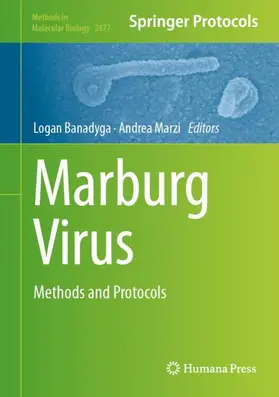 Marzi / Banadyga |  Marburg Virus | Buch |  Sack Fachmedien