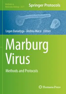 Banadyga / Marzi |  Marburg Virus | Buch |  Sack Fachmedien