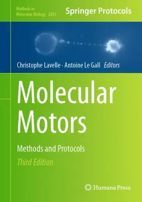 Le Gall / Lavelle |  Molecular Motors | Buch |  Sack Fachmedien