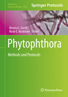 Gerth / Bradshaw | Phytophthora | E-Book | sack.de