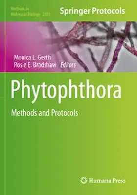 Gerth / Bradshaw | Phytophthora | Buch | 978-1-0716-4332-7 | www.sack.de
