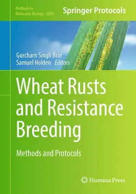 Holden / Brar |  Wheat Rusts and Resistance Breeding | Buch |  Sack Fachmedien