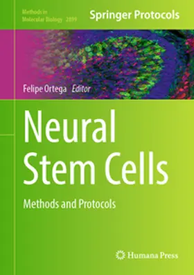 Ortega | Neural Stem Cells | E-Book | sack.de