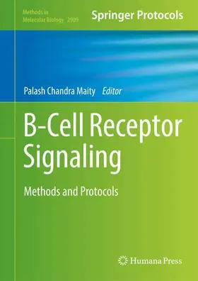 Maity | B-Cell Receptor Signaling | Buch | 978-1-0716-4441-6 | www.sack.de