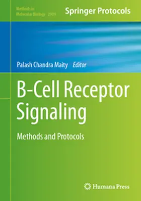 Maity |  B-Cell Receptor Signaling | eBook | Sack Fachmedien