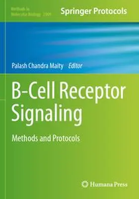 Maity | B-Cell Receptor Signaling | Buch | 978-1-0716-4444-7 | www.sack.de