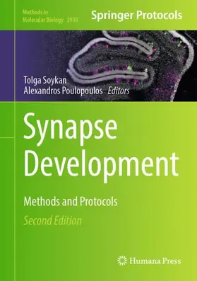 Soykan / Poulopoulos |  Synapse Development | Buch |  Sack Fachmedien