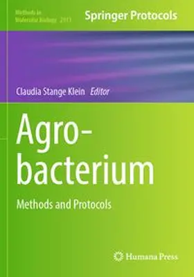 Stange Klein | Agrobacterium | Buch | 978-1-0716-4452-2 | www.sack.de
