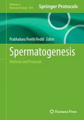 Reddi |  Spermatogenesis | eBook | Sack Fachmedien