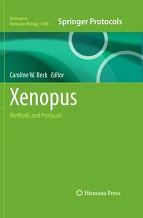 Beck |  Xenopus | eBook | Sack Fachmedien