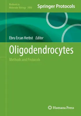 Ercan Herbst |  Oligodendrocytes | Buch |  Sack Fachmedien
