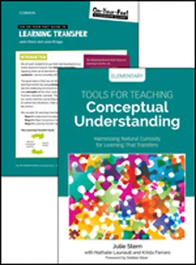 Stern / Lauriault / Ferraro |  Bundle: Stern: Tools for Teaching Conceptual Understanding, Elementary + Stern: On-Your-Feet Guide to Learning Transfer | Buch |  Sack Fachmedien