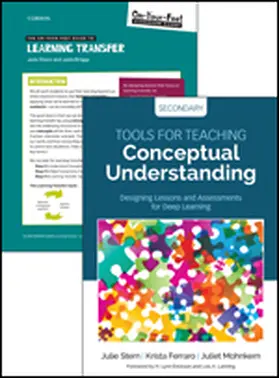 Stern / Lauriault / Ferraro |  Bundle: Stern: Tools for Teaching Conceptual Understanding, Secondary + Stern: On-Your-Feet Guide to Learning Transfer | Buch |  Sack Fachmedien