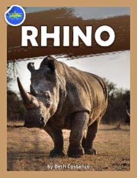 Costanzo |  Rhino workbook ages 2-4 | eBook | Sack Fachmedien